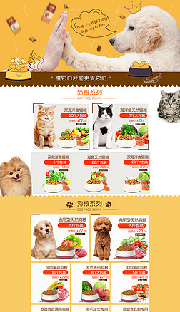 打造吸睛宠物水族店铺 专业模板装修与食品用品陈列全攻略