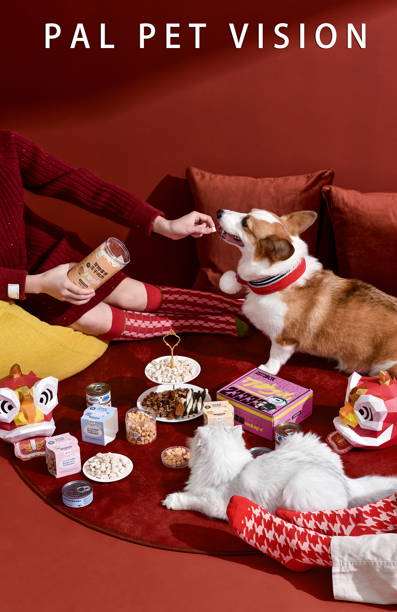 宠物用品与宠物食品 科学喂养与品质生活的双重保障