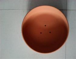 福来翔鸽 专业宠物用品生产厂，专注宠物食品与用品品质