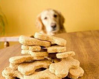 宠物食品也有年味儿 狗狗专用饺与宠物蛋糕风靡春节